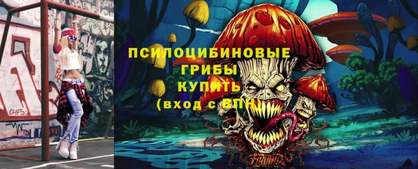 хмурый Алексеевка