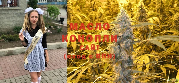 мет Алексин