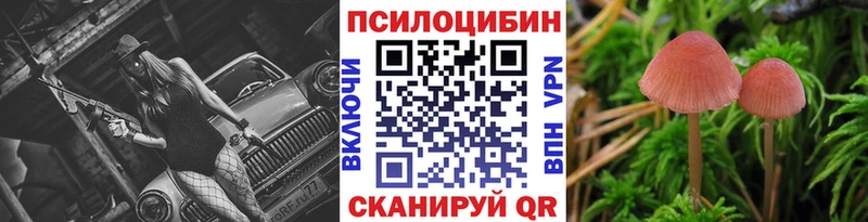 Галлюциногенные грибы Psilocybe  Любань 